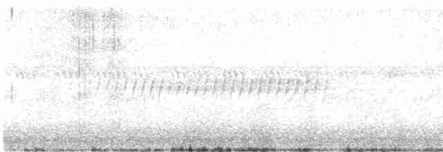 Pine Warbler - ML243100021