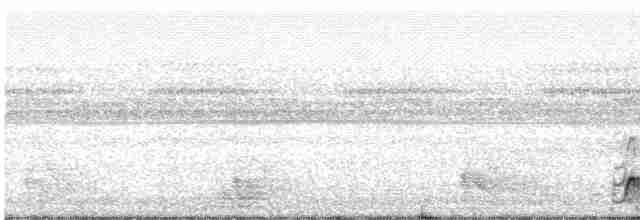 Weißkehl-Ameisendrossel - ML243129