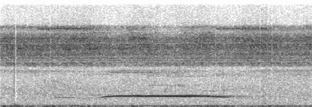 holub safírový - ML243135