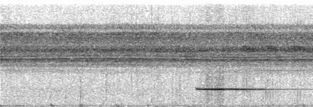 Bartlett's Tinamou - ML243137