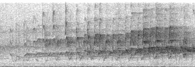 Лінивка-чорнопер білолоба [група morphoeus] - ML24315