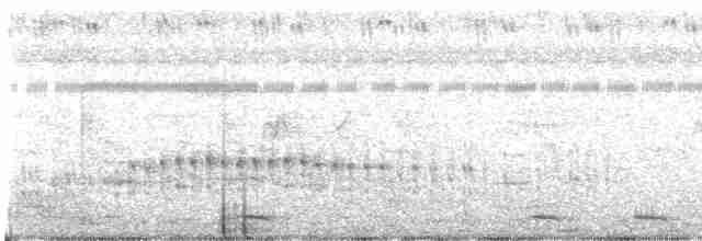 Lesser Whistling-Duck - ML243193731