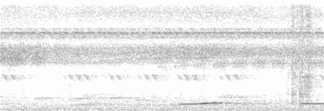 Сова-голконіг далекосхідна - ML243199711