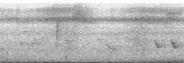 Bıyıklı Karıncaçıvgını (obscura) - ML243206