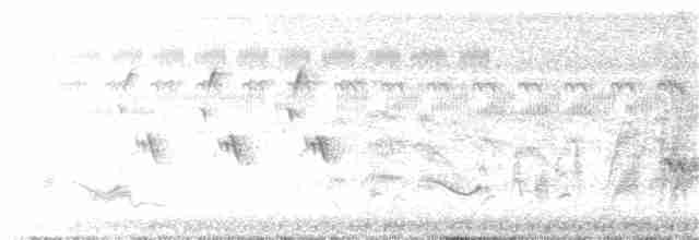 White-throated Kingfisher - ML243208241