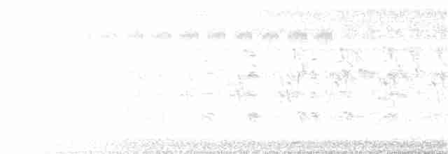 Принія рудочерева - ML243215351