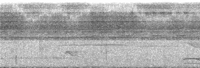 Carnifex de Buckley - ML243218