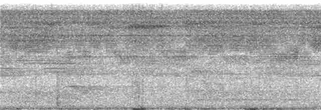 Красногрудый скрытохвост - ML243219