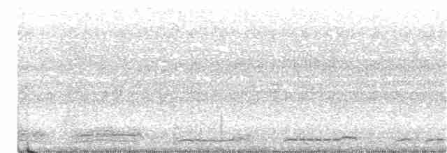 白腹秧雞 - ML243228561