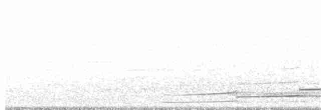 Plongeon huard - ML243244841