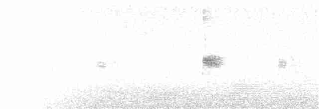Каньонный крапивник - ML243252541