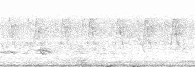 svarthodelarveeter - ML243259341