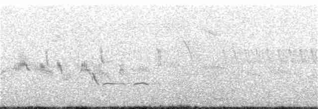 Common Redshank - ML243272241
