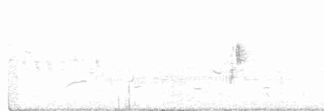 Ивовый мухолов - ML243285521