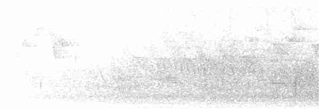 Бурый соловьиный дрозд - ML243292141