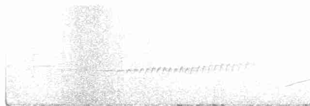 Prairie Warbler - ML243308481