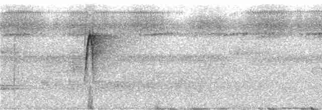 brunbukmeiskryper (genibarbis gr.) - ML243367