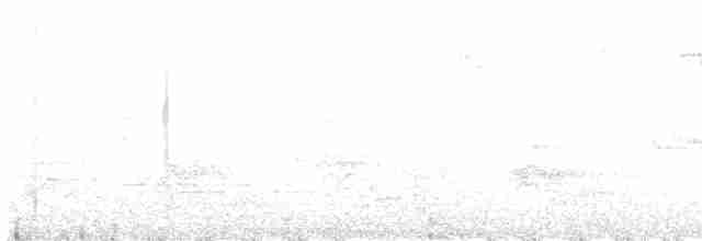 Pine Warbler - ML243405101