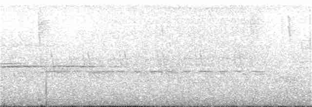 Paruline à gorge grise - ML243448401