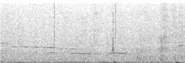 Танагра-короткодзьоб чорновола - ML243453