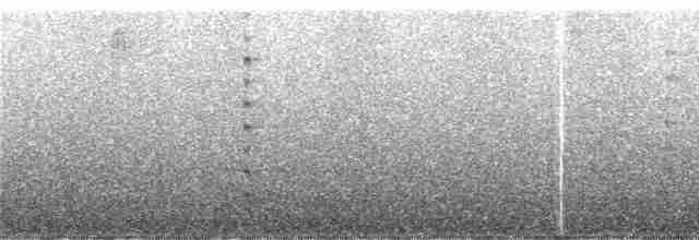 Tangara de Rieffer - ML243474