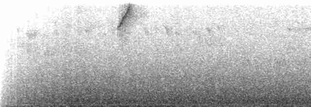 Colibri de Lafresnaye - ML243540
