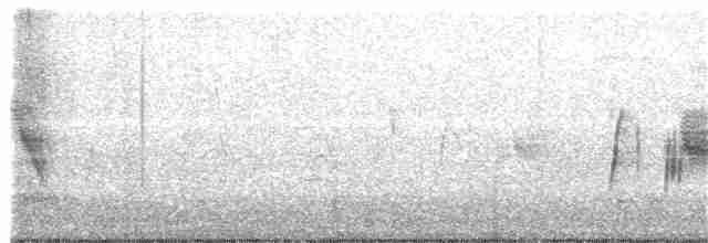 tyranovec vrbový - ML243558921