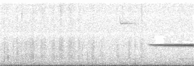 Turuncu Ardıç - ML243564031