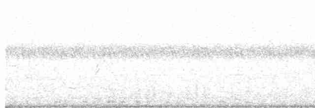 Common Yellowthroat - ML243565911