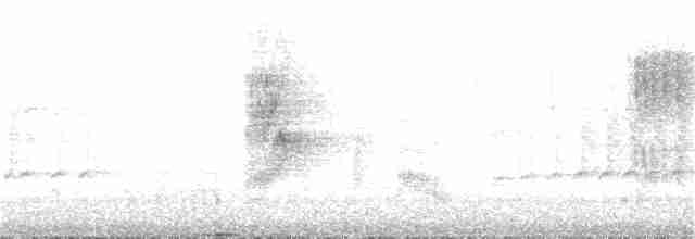 Дронго сірий - ML243608851