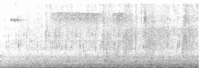 Воротничковая лесная куропатка - ML243609651