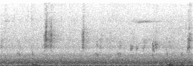 Silver-eared Mesia - ML243610231