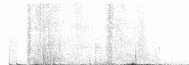 Cassin Çütresi - ML243624951