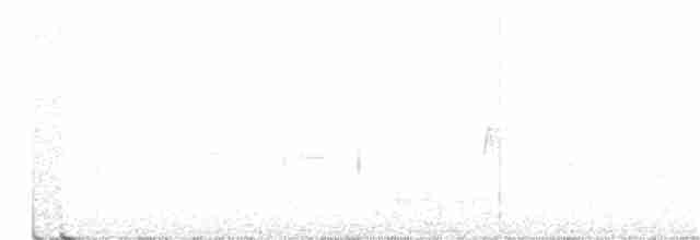 Пісняр-лісовик жовтогузий (підвид auduboni) - ML243625081