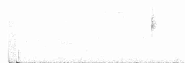 Hermit Warbler - ML243625131