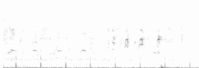 Marsh Warbler - ML243628671