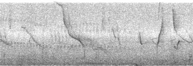 Свертушка рудобока - ML243635