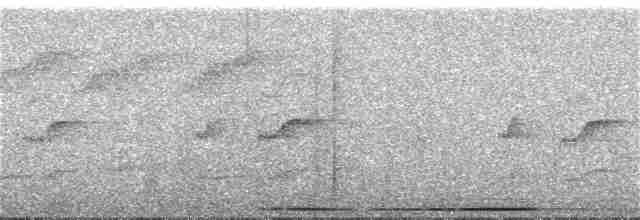Андская голубка - ML243643941