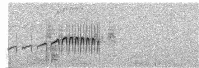 Perija Thistletail - ML243646011