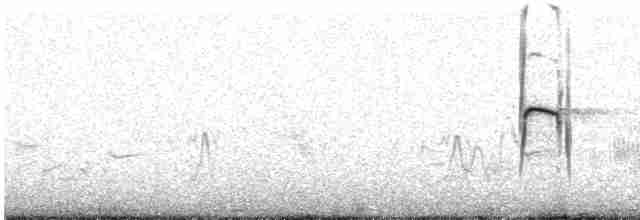 Straight-billed Earthcreeper - ML243653041