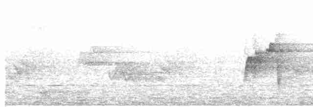Acadian Flycatcher - ML243662421