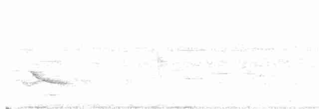 Gray-bellied Cuckoo - ML243666051