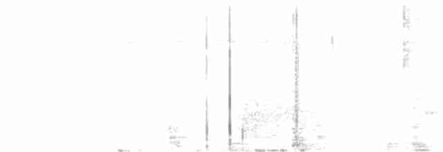 Great Egret - ML243683321