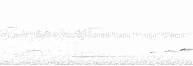 Strichelbaumsteiger - ML243694921