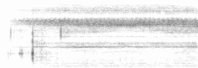 White-necked Babbler - ML243708331