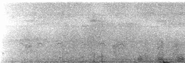 Челноклюв (cochlearius/panamensis) - ML243716