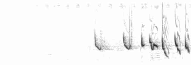 Mélocichle à moustaches - ML243734241