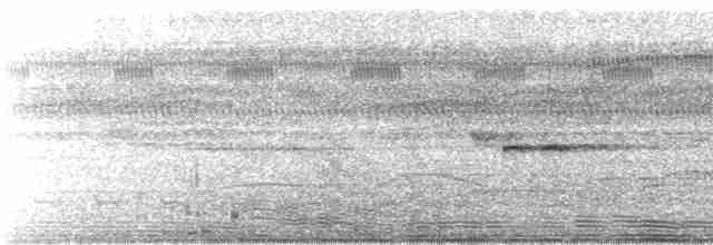 Kahnschnabelreiher (cochlearius/panamensis) - ML243735