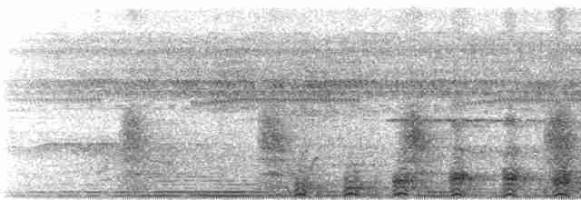 Челноклюв (cochlearius/panamensis) - ML243736