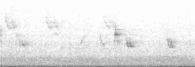 Great Reed Warbler - ML243743541